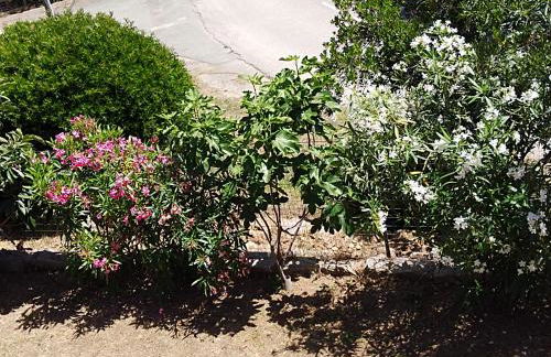 Villa individuelle avec jardin - Foto 18