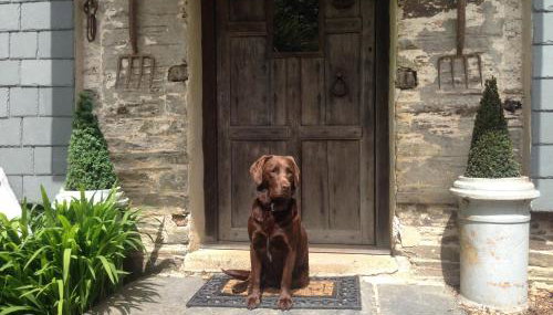 Fletchers Combe Farm - Foto 4