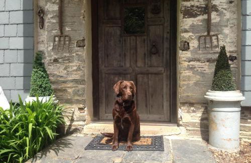 Fletchers Combe Farm - Foto 4