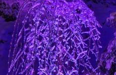 Apartament u Joli - Foto 32