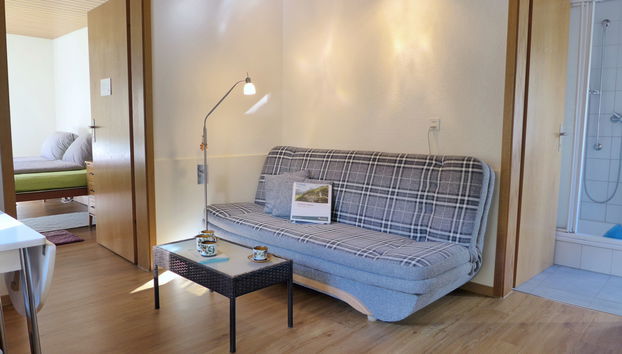 Erika - Photo 5, Living Room