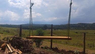 Na'raucária - Foto 4