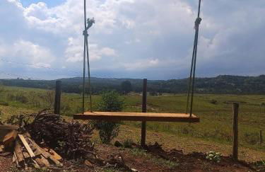 Na'raucária - Foto 4