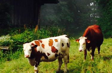 L’énergie Tranquillisante - Photo 23