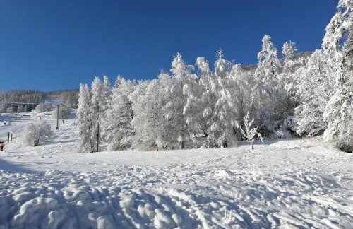 Vacances à la montagne ou au ski - Foto 2