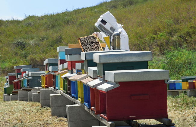 Agriturismo Villa Dafne - Photo 39