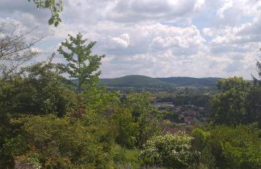 Le Baron Perché - Foto 11