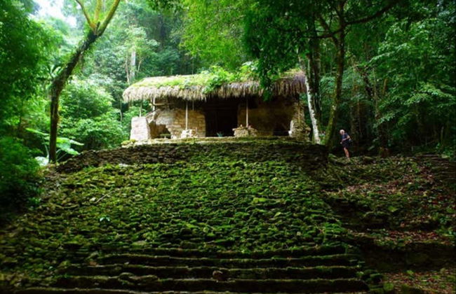 Tour privato del sito archeologico di Palenque - Foto 6