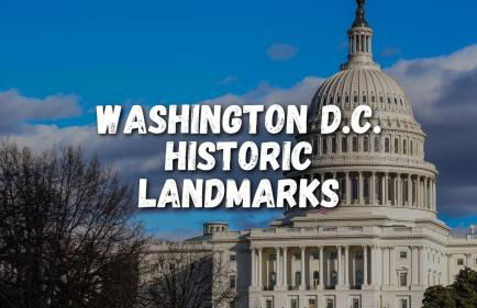 Deluxe Joy - Foto 81