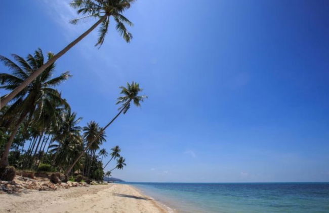 3 Bedroomed Luxury Ban Tai SDV240-By Samui Dream Villas - Foto 16