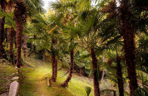 Villa Allgayer - Ancient dependance - Foto 34