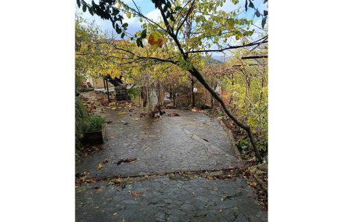 Hillview Holiday Home in Kalavrouza - Photo 35