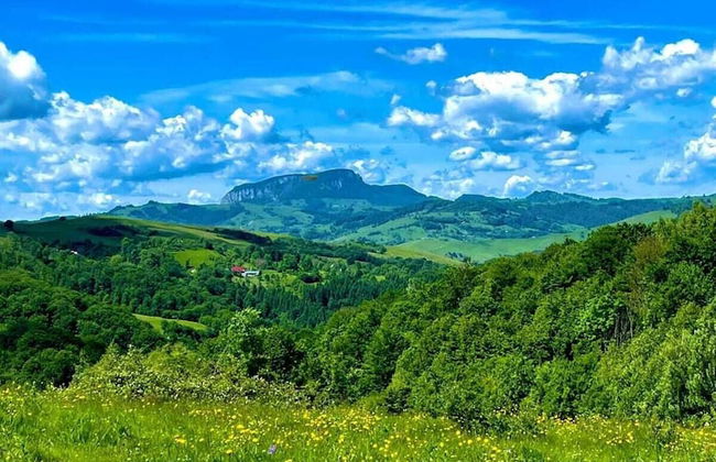 Rustic Wild Retreat IN Romania - Foto 10