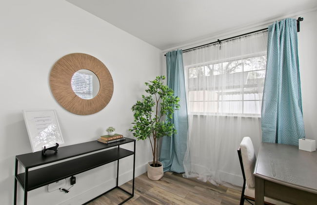 NEW St Pete Retreat Newly Updated Pet Friendly - Photo 10