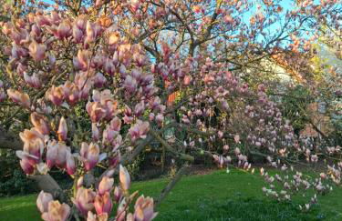 Ferienhaus Richard - Foto 33