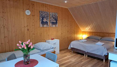 Noclegi Pod Modrzewiem - Foto 4