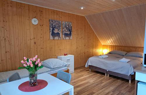 Noclegi Pod Modrzewiem - Foto 4