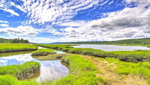 Stunning Hood Canal Getaway w/ Private Deck! - Foto 2