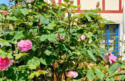 Urlaub im 200 Jahre alten Fachwerkhaus - Foto 1