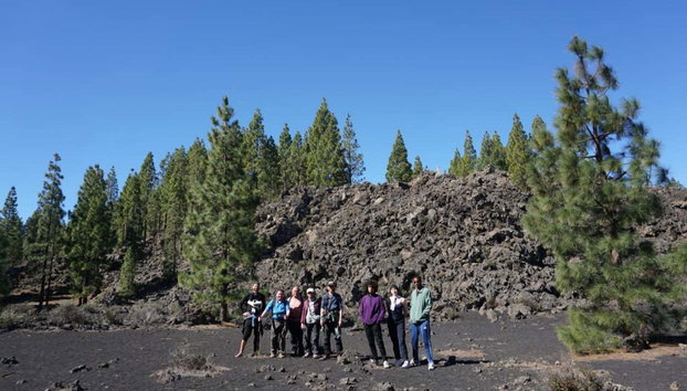 Chinyero Volcano Hiking Tour - Foto 2