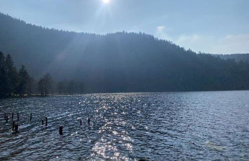 Au Temps Passé - Photo 50