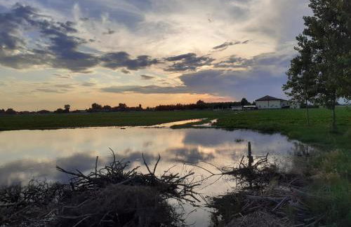 Corte Galvana - Foto 129