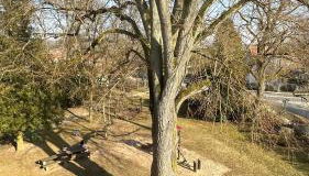 Ferienwohnung Parkblick Münnerstadt - Foto 5