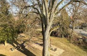 Ferienwohnung Parkblick Münnerstadt - Foto 5