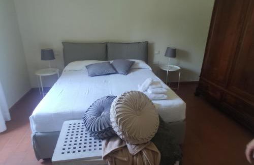 Dépendance in Villa Albachiara - Photo 34