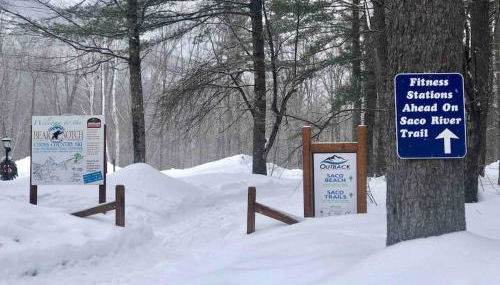 Attitash Mountain Village Studio - Slope View - Ski - Storyland - Foto 4