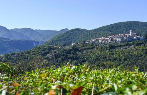 Il Colle di Torre Orsina - Foto 41