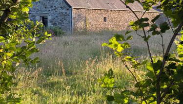 Gîtes l'appel de la Bretagne Gîte Bleuenn - Photo 4, Garden