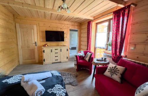 Pensjonat Dzianiszówka - Basen Jacuzzi Sauna - Foto 34