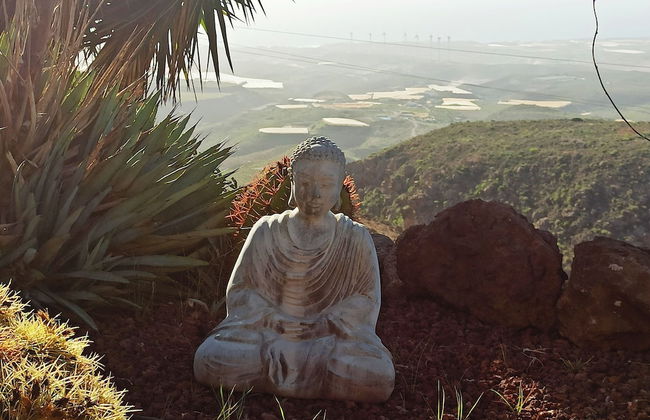 Finca Aurora - Cozy 1-bed Apartment - Foto 31