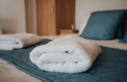 VICHY - Temple Court Superb apartment in City Center - Foto 27