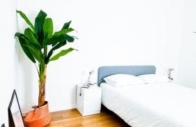 Adua1 Stresa - Foto 16