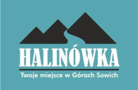 Halinówka - Twoje Miejsce w Górach Sowich - Foto 28