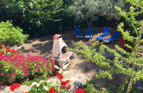 Carpe Diem - Photo 6