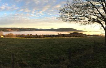 An den Bergwiesen - Foto 21