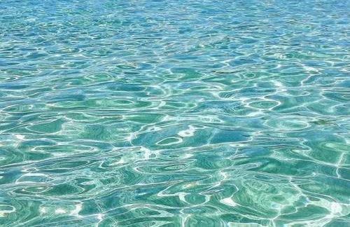 Tra il Mare e il Borgo - Pulsano - Foto 12