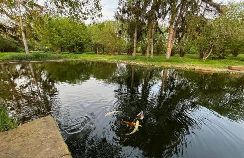 Datscha am See - Photo 7