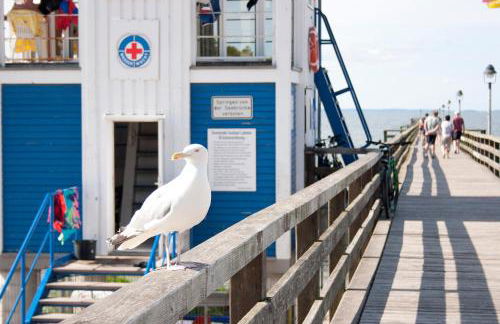 Dünenkieker Ferienwohnung - Foto 26