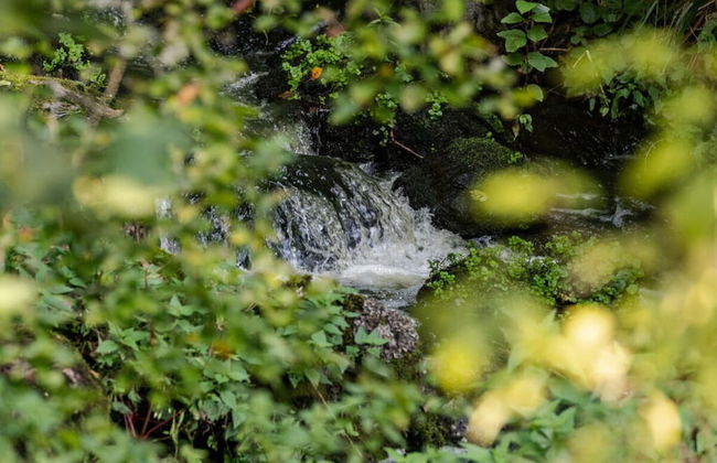 Holiday Apartment Forsthaus Heilsberg - Foto 17