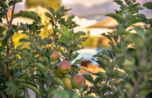 VillaBayViewCrete - Foto 67