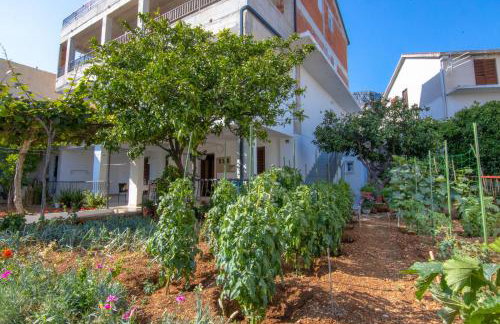 Apartments Latkovic - Photo 72