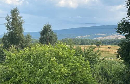 Polana Gorska Mirsk - Photo 21