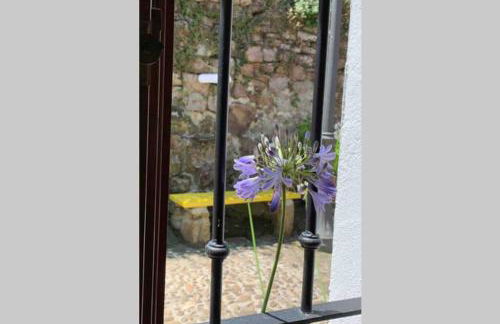 Pexe na mar - Foto 8