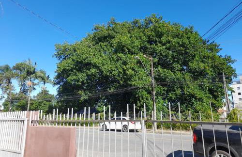 Curitibanos - Foto 15