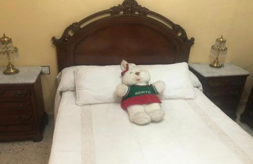 ALOJAMIENTO LA EXPLANADA - Foto 13