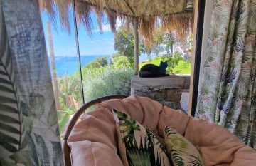 Torre Bella Gardens - Foto 25